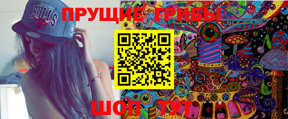 Балашов  Псилоцибиновые грибы Psilocybine cubensis  Вход с VPN  Галлюциногенные грибы GOLDEN TEACHER 