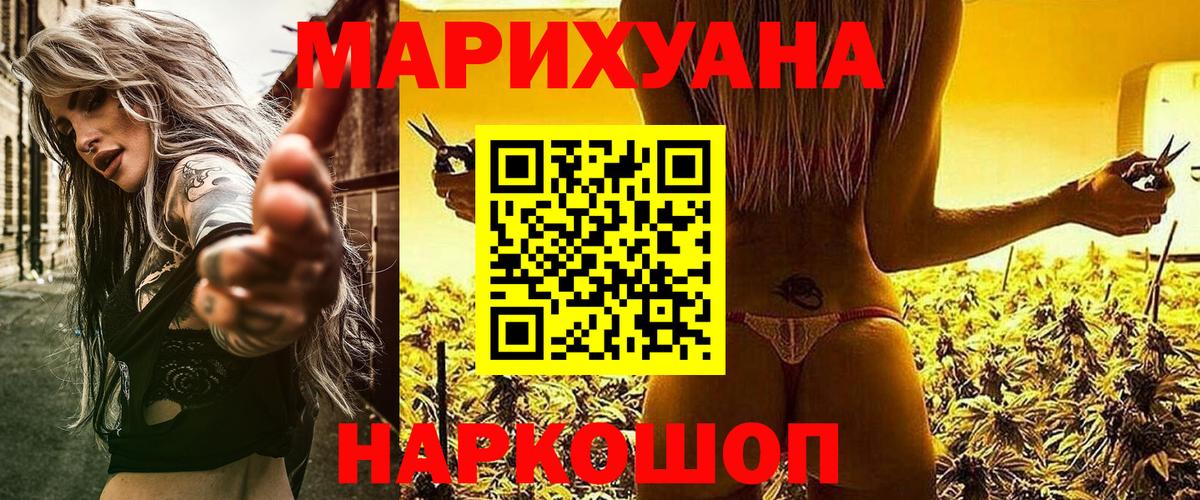 Конопля сатива Балашов